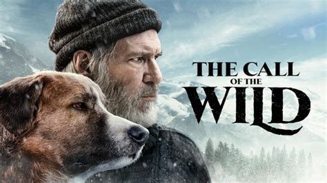 the call of the wild movie download|'The Call of the Wild' dog: Meet Buck, the big  .